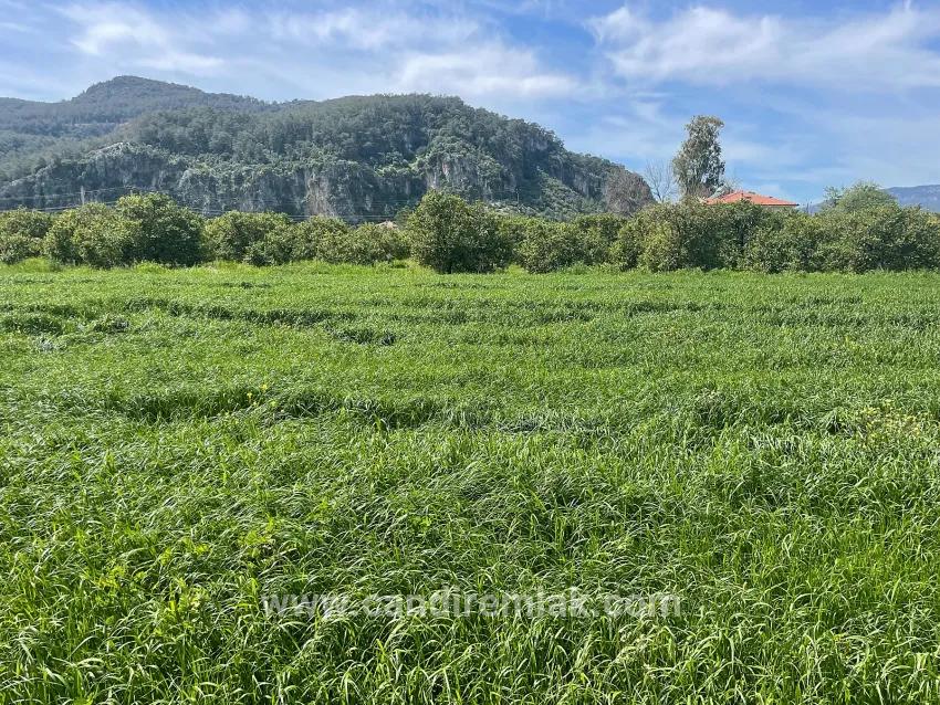 Ortaca Okçular Mah. Satılık Arsa - Konut İmar Durumlu - 736 m²