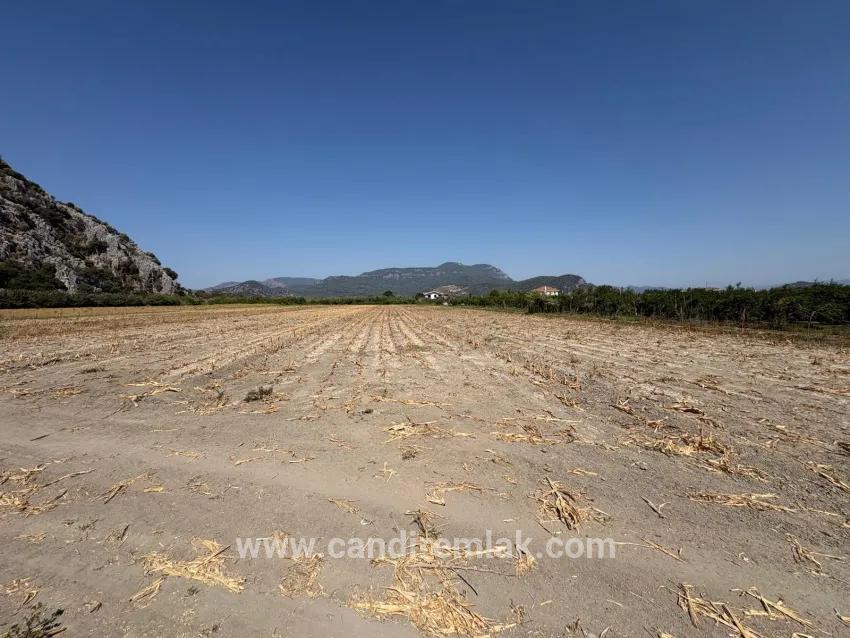 Ortaca Dalyan Mah. Satılık Tarla - Tarla İmar Durumlu - 20.786 m²