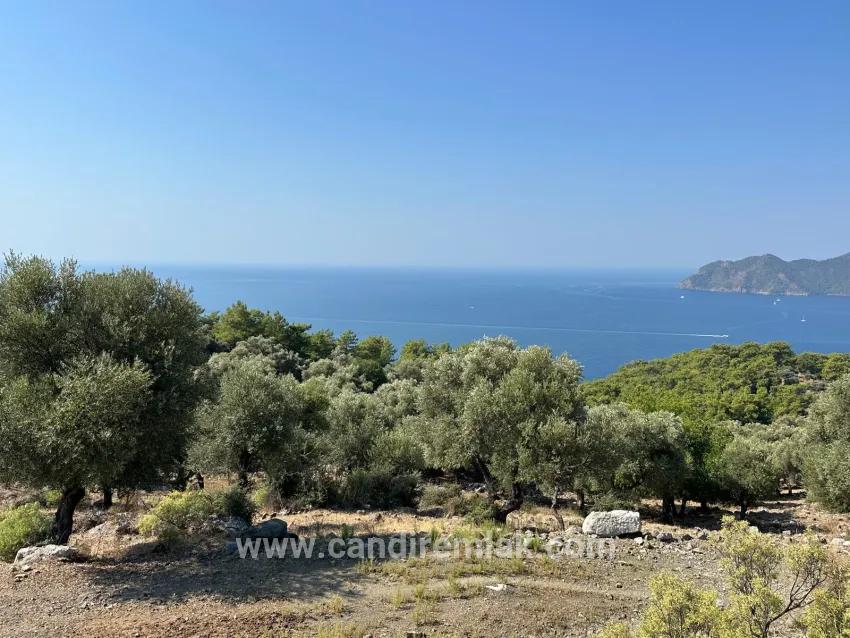 Köyceğiz Çandır Mah. Satılık Tarla - Tarla İmar Durumlu - 21.000 m²