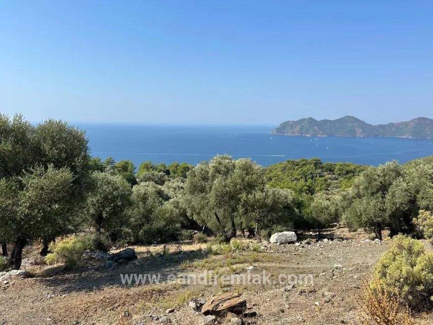 Köyceğiz Çandır Mah. Satılık Tarla - Tarla İmar Durumlu - 21.000 m²