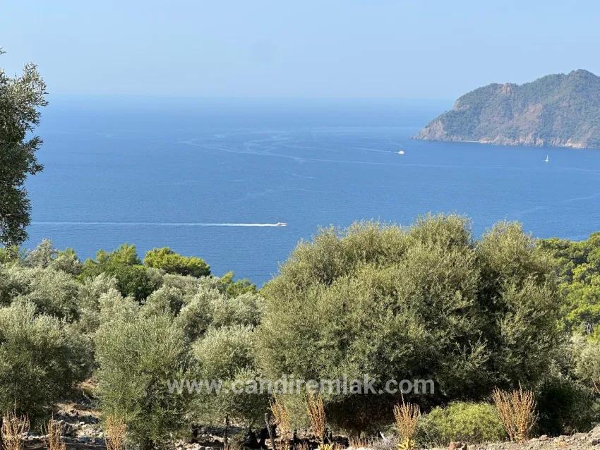 Köyceğiz Çandır Mah. Satılık Tarla - Tarla İmar Durumlu - 21.000 m²