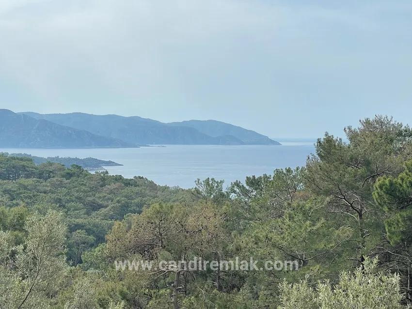 Köyceğiz Ekincik Mah. Satılık Tarla - Zeytinlik İmar Durumlu - 7.000 m²