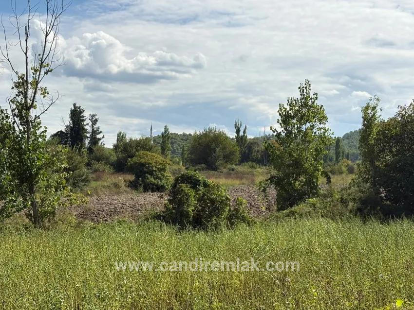 Köyceğiz Zeytinalanı Mah. Satılık Tarla - Tarla İmar Durumlu - 10.500 m²