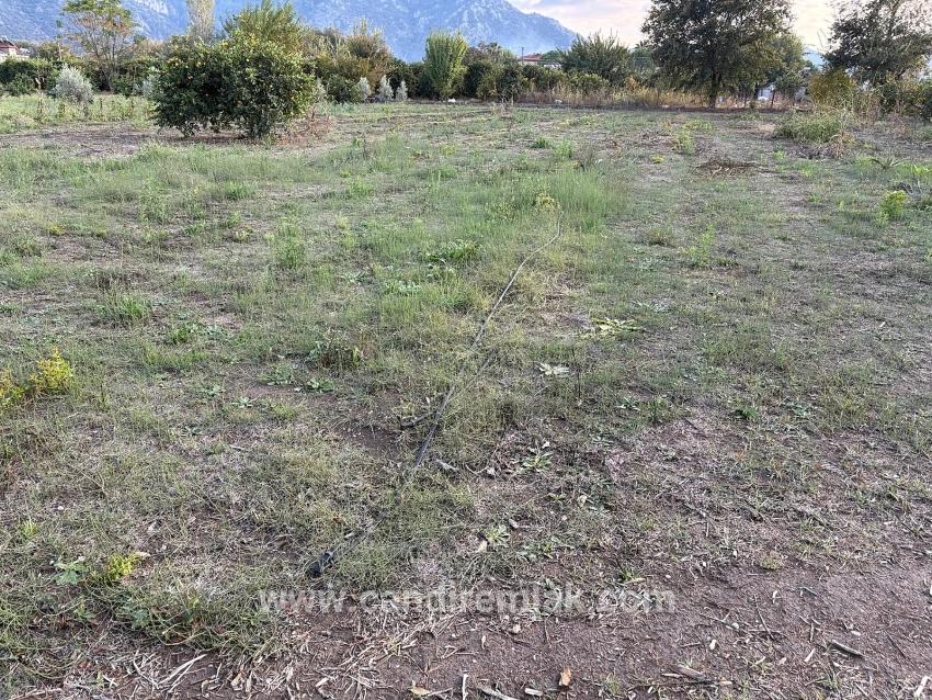 Dalyan'da 7.450m2 %5 İmarlı Satılık Arsa