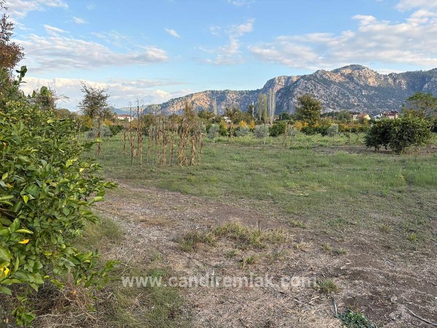 Dalyan'da 7.450m2 %5 İmarlı Satılık Arsa