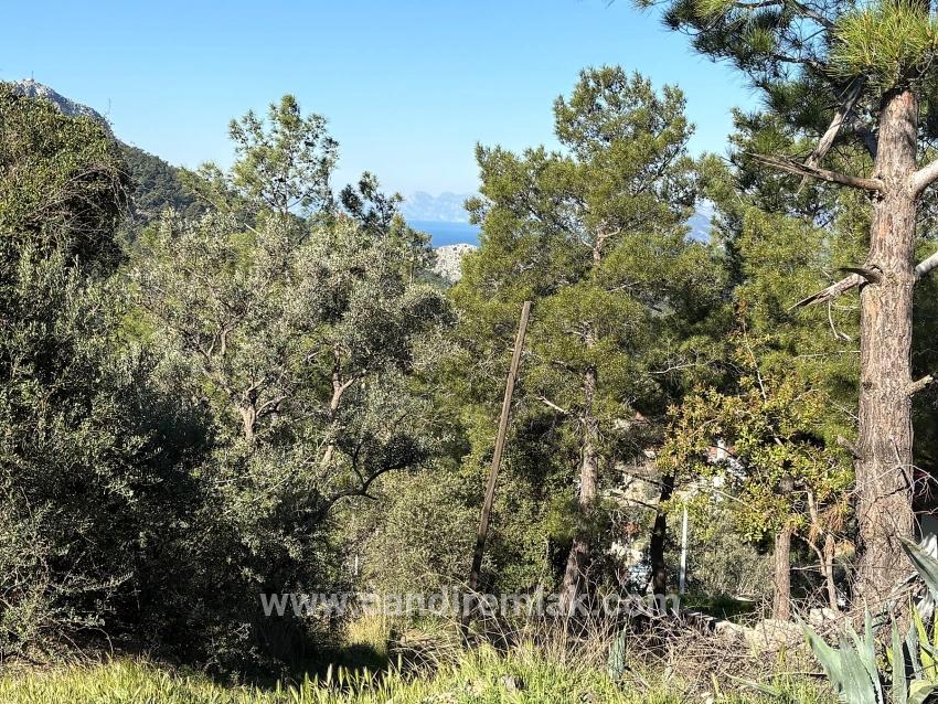 Gökbel'de Köy Yerleşik Alanı İçerisinde Deniz Manzaralı 1000m2 Satılık Arazi