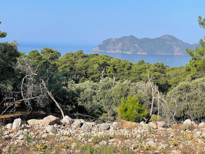 Ekincik Çandır Arasın'da Deniz Manzaralı Kelepir Emlak Satılık Arsa