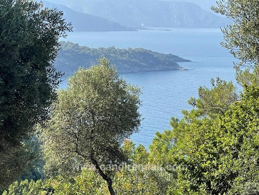 Ekincik Çandır Arasın'da Deniz Manzaralı Kelepir Emlak Satılık Arsa