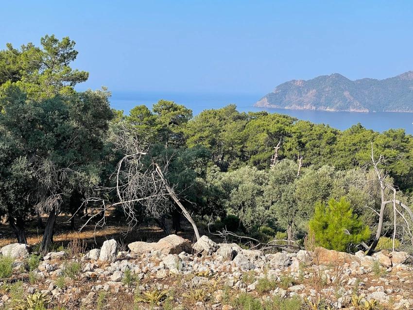 Ekincik Çandır Arasın'da Deniz Manzaralı Kelepir Emlak Satılık Arsa