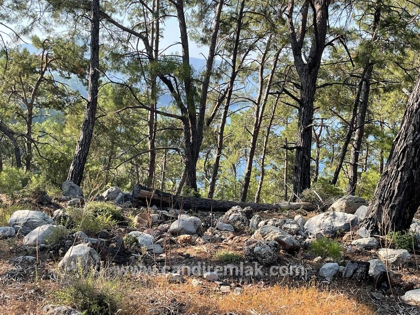 Ekincik Çandır Arasın'da Deniz Manzaralı Kelepir Emlak Satılık Arsa