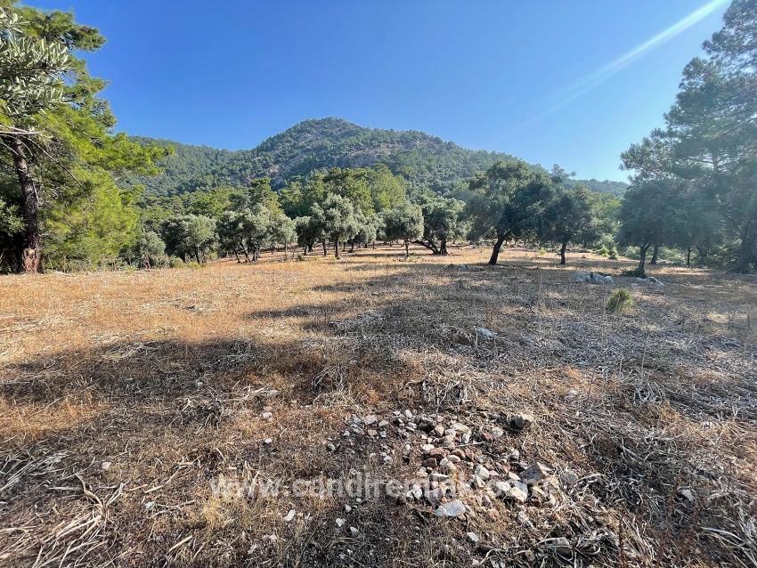 Ekincik Çandır Arasın'da Deniz Manzaralı Kelepir Emlak Satılık Arsa