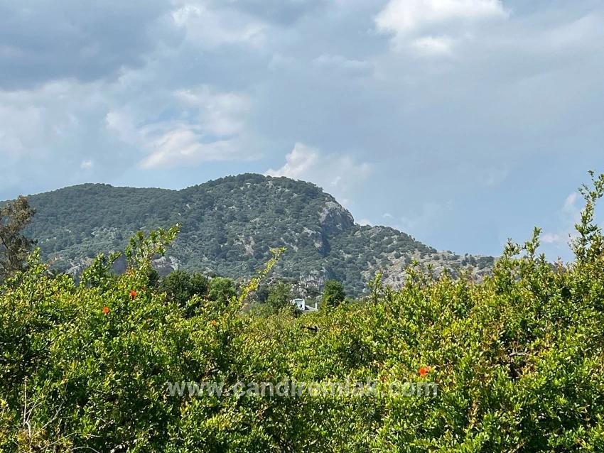 Dalyan Maraş Mevkiinden 5,100m2 %5 Konut İmarlı Satılık Arsa