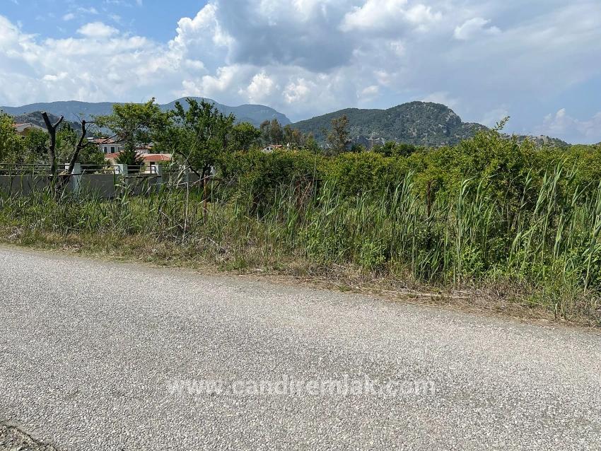 Dalyan Maraş Mevkiinden 5,100m2 %5 Konut İmarlı Satılık Arsa