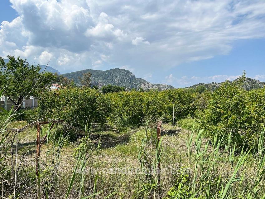 Dalyan Maraş Mevkiinden 5,100m2 %5 Konut İmarlı Satılık Arsa