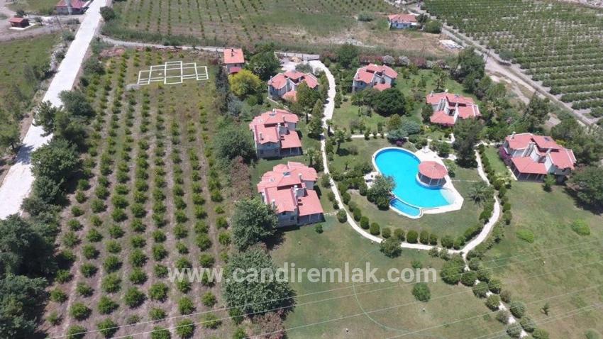 Köyceğiz Çandır'da 6000m2 Satılık Arsa