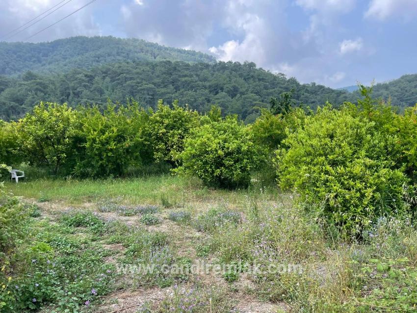 Gökbel'de İztuzu Plajı Yoluna Sıfır 7800m2 Satılık Arazi