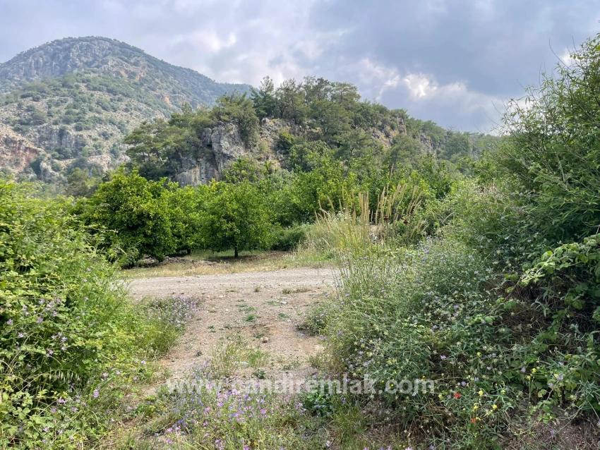 Gökbel'de İztuzu Plajı Yoluna Sıfır 7800m2 Satılık Arazi