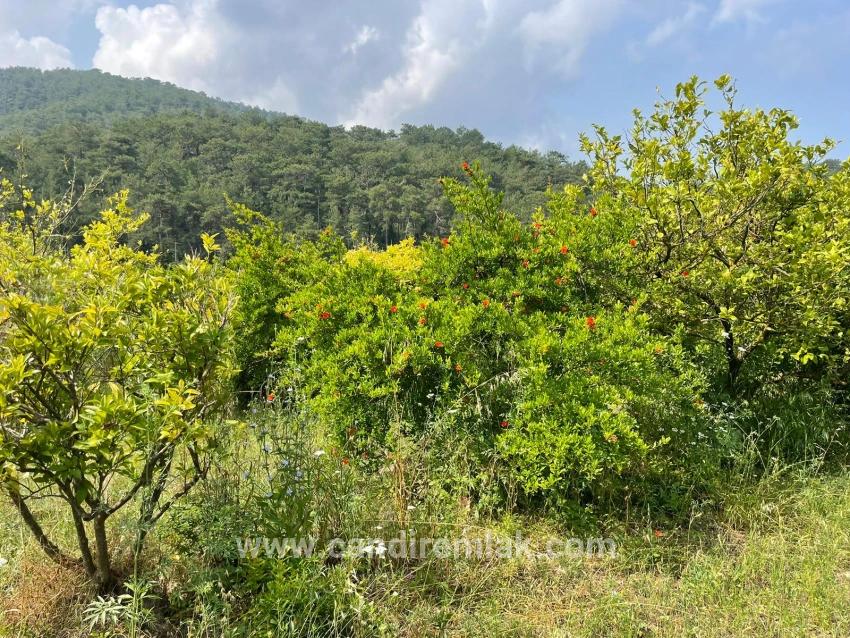 Gökbel'de İztuzu Plajı Yoluna Sıfır 7800m2 Satılık Arazi