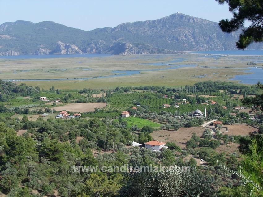 Köyceğiz Çandır'da 19.334m2 Satılık Tarla