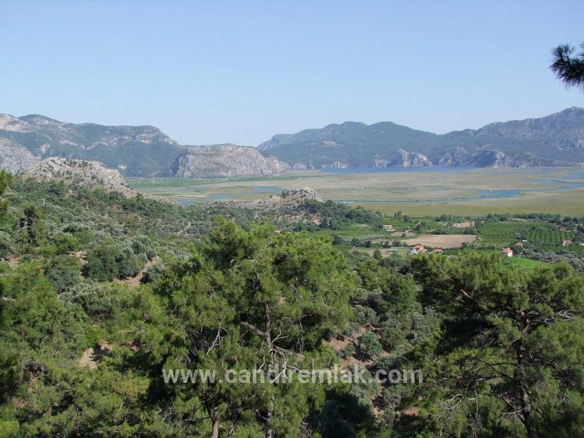 Köyceğiz Çandır'da 19.334m2 Satılık Tarla
