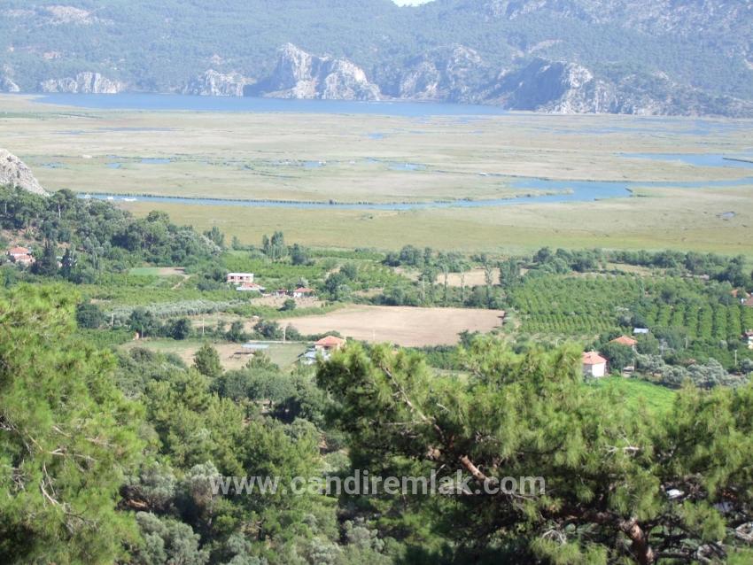 Köyceğiz Çandır'da 19.334m2 Satılık Tarla