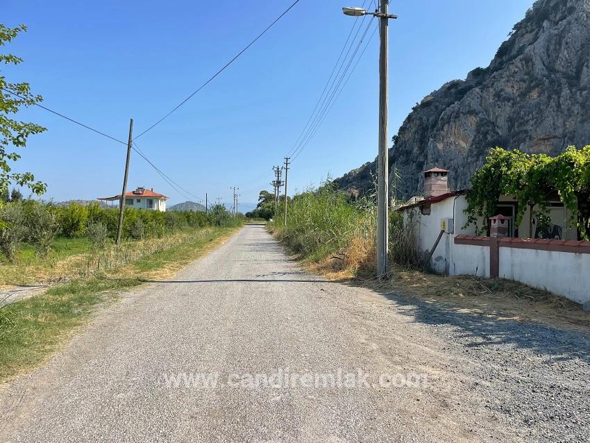 Dalyan Arıkbaşı Gerendüzü Mevkiinde 10,000m2 Satılık Nar Bahçesi