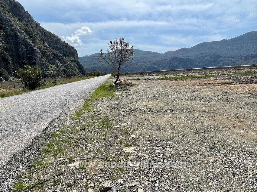 Dalyan İztuzu Plaj Yoluna Sıfır 19.600m2 Satılık Tarla