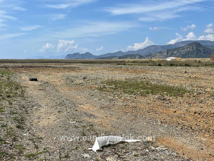 Dalyan İztuzu Plaj Yoluna Sıfır 19.600m2 Satılık Tarla