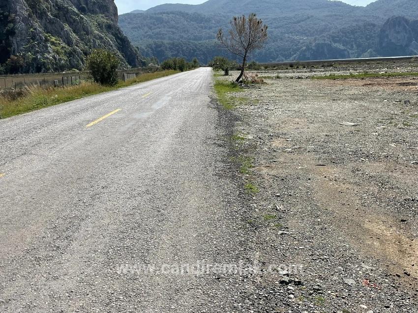 Dalyan İztuzu Plaj Yoluna Sıfır 19.600m2 Satılık Tarla