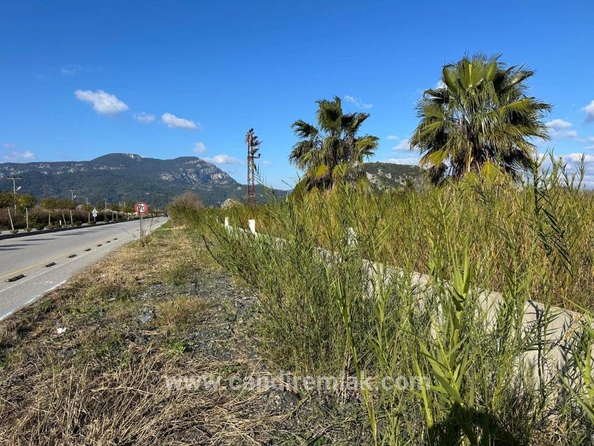 Dalyan Anayola Sıfır 5.111m2 Satılık Ticari-konut Arsası