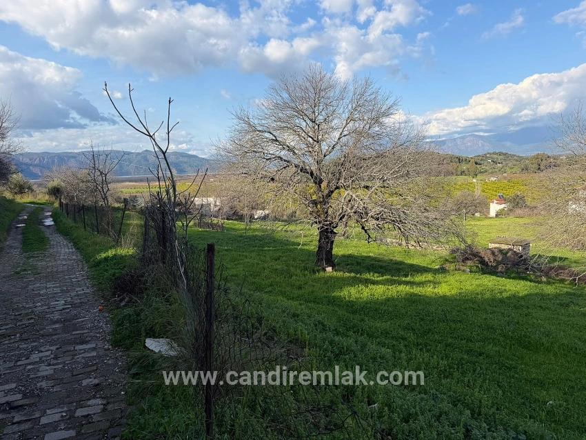 Dalyan'da Göl Manzaralı 11.230m2 Satılık Tarla