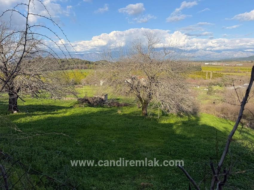 Dalyan'da Göl Manzaralı 11.230m2 Satılık Tarla