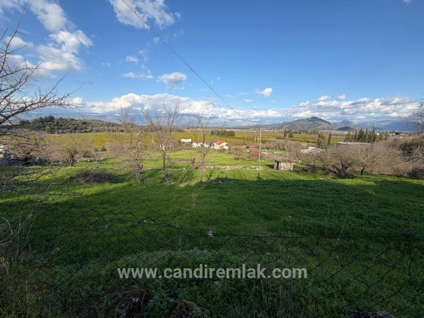 Dalyan'da Göl Manzaralı 11.230m2 Satılık Tarla