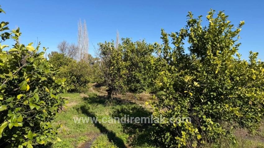 Okçular Marmarlı'da 2.218m2 Satılık Arsa