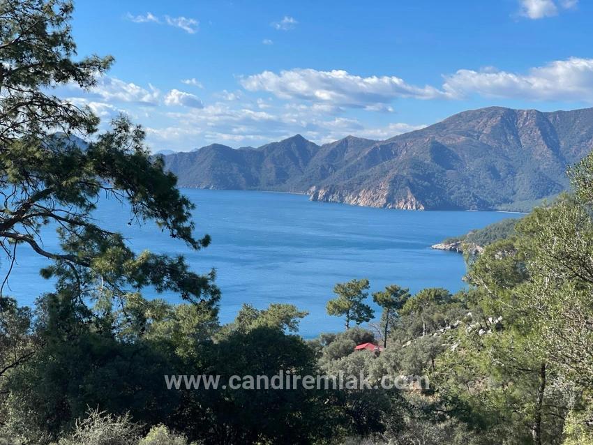 Çandır Full Deniz Manzaralı 20.000m2 Satılık 2b