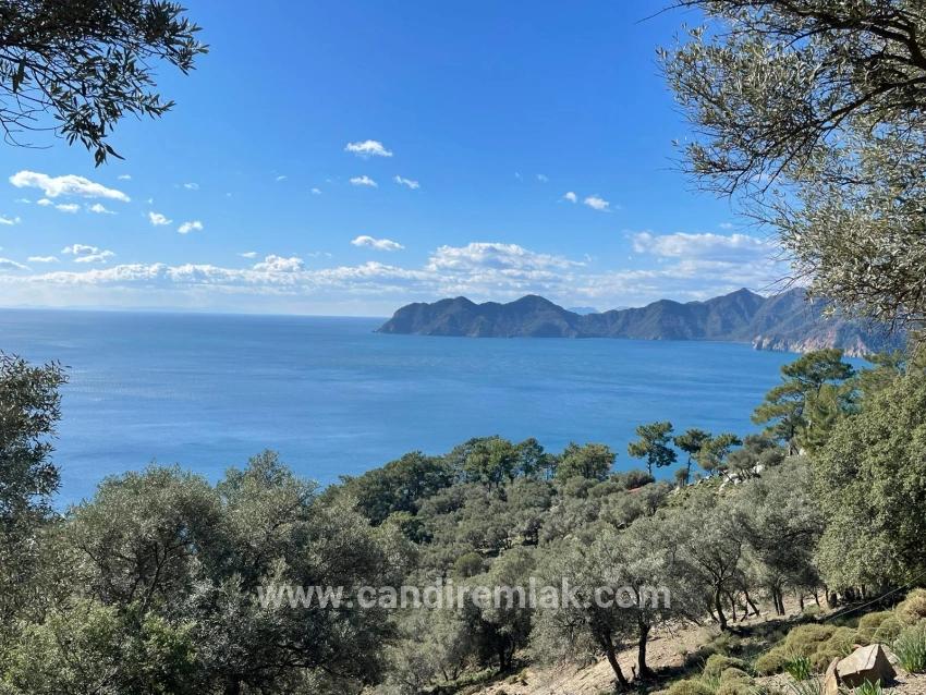 Çandır Full Deniz Manzaralı 20.000m2 Satılık 2b