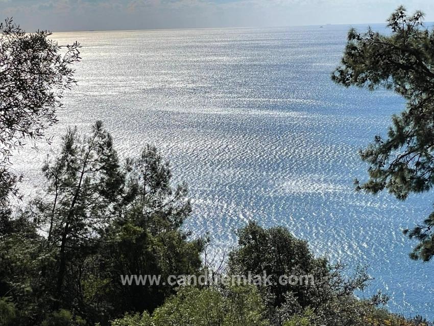 Çandır Full Deniz Manzaralı 20.000m2 Satılık 2b