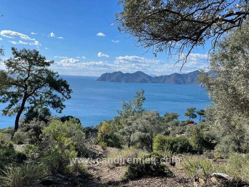 Çandır Full Deniz Manzaralı 20.000m2 Satılık 2b