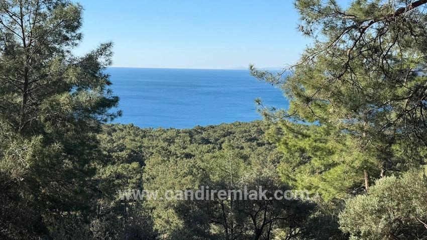 Çandır'da Full Deniz Manzaralı 5715m2 Satılık 2b Tarla