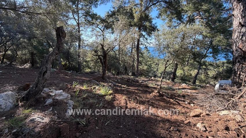 Çandır'da Full Deniz Manzaralı 5715m2 Satılık 2b Tarla