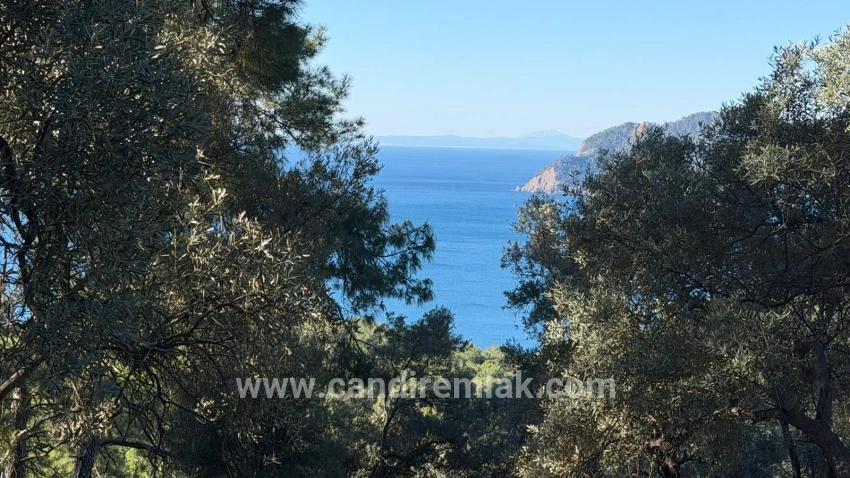 Çandır'da Full Deniz Manzaralı 5715m2 Satılık 2b Tarla
