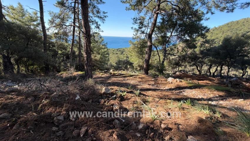 Çandır'da Full Deniz Manzaralı 5715m2 Satılık 2b Tarla