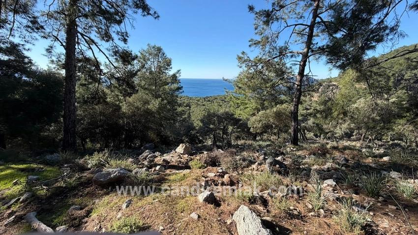 Çandır'da Full Deniz Manzaralı 5715m2 Satılık 2b Tarla
