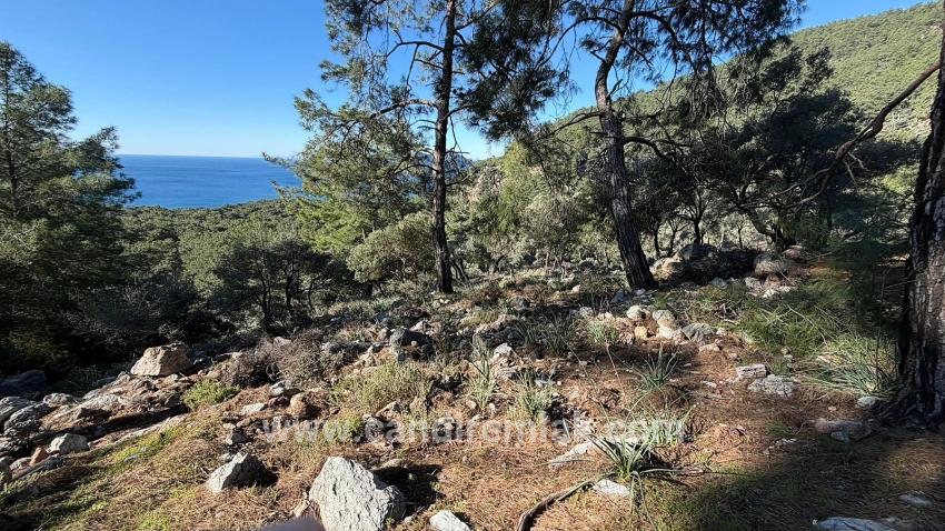 Çandır'da Full Deniz Manzaralı 5715m2 Satılık 2b Tarla