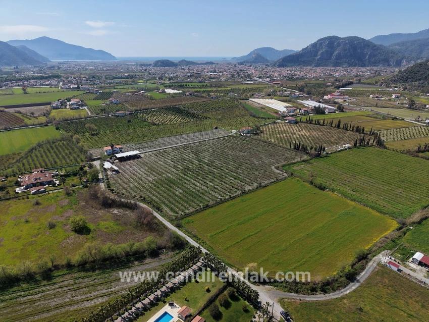 Dalyan Merkeze Yakın 17.550m2 Satılık Bağ-bahçe
