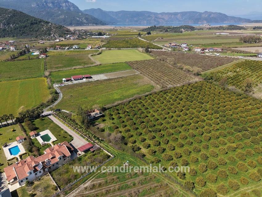 Dalyan Merkeze Yakın 17.550m2 Satılık Bağ-bahçe