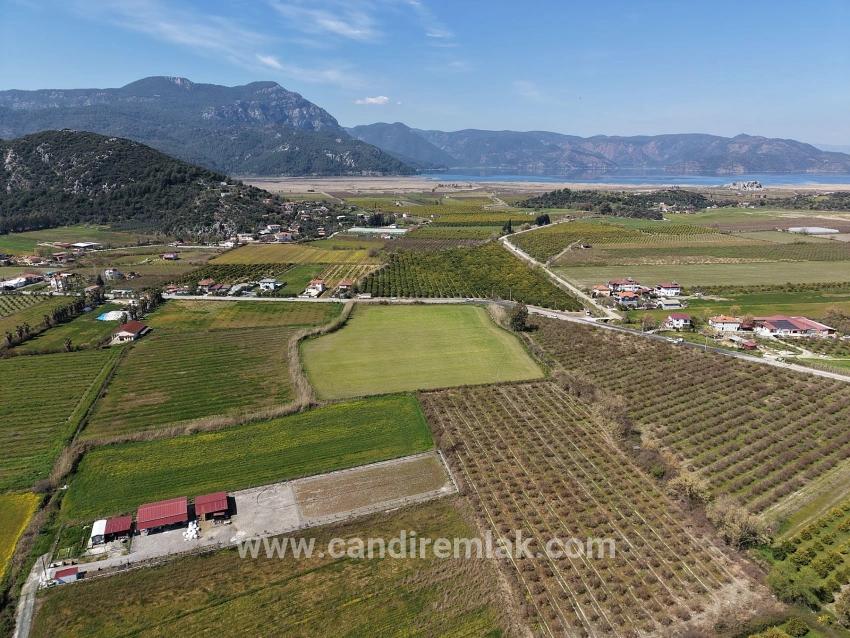 Dalyan Merkeze Yakın 17.550m2 Satılık Bağ-bahçe