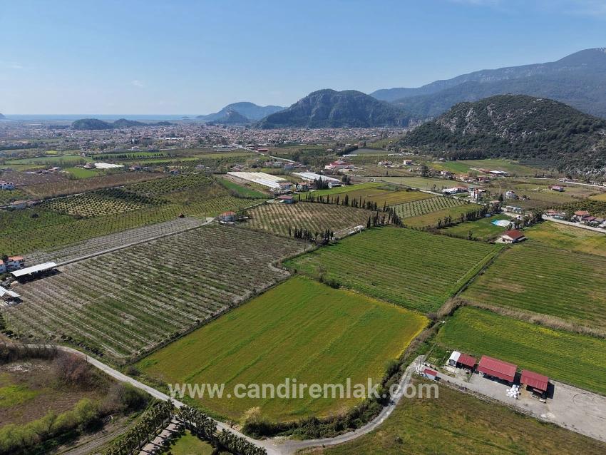 Dalyan Merkeze Yakın 17.550m2 Satılık Bağ-bahçe