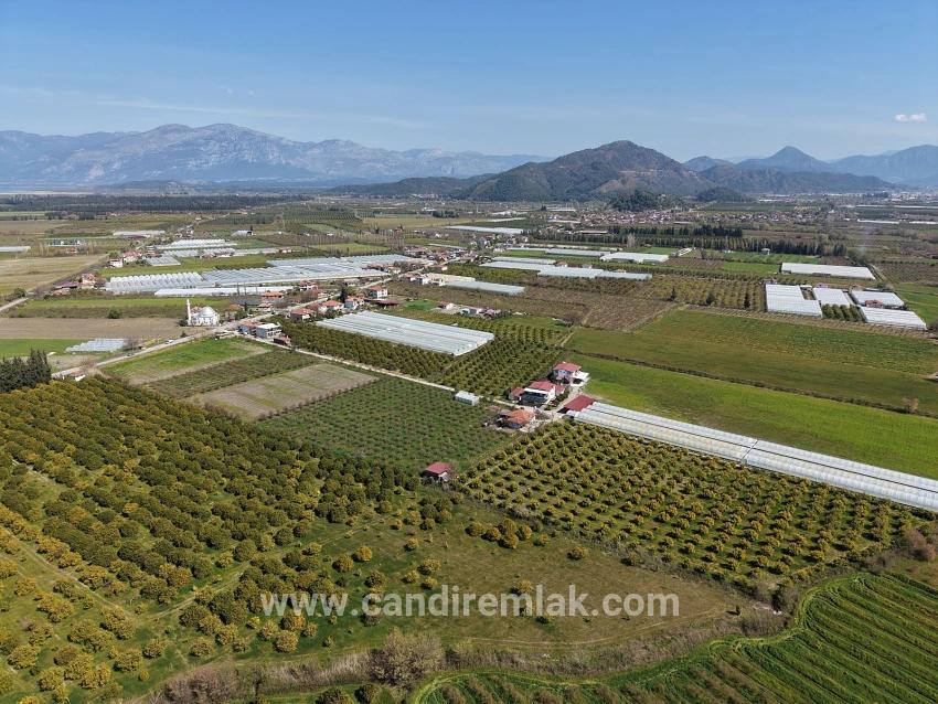 Dalyan Merkeze Yakın 17.550m2 Satılık Bağ-bahçe