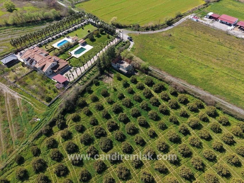 Dalyan Merkeze Yakın 17.550m2 Satılık Bağ-bahçe